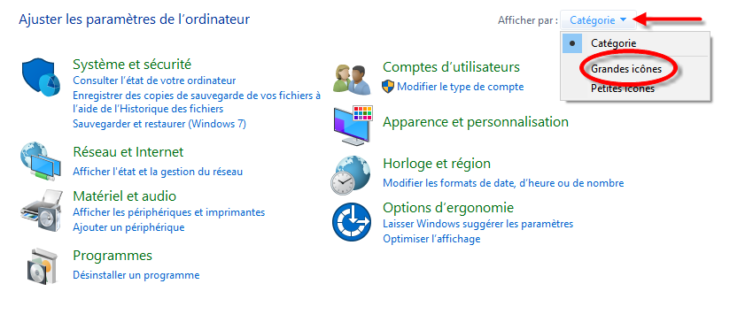 Choix grandes icônes